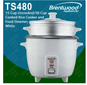 TS480