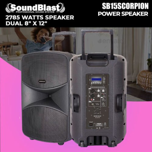 SOUND BLAST DUAL 8" X 12" SCORPION  BEST CHURCH SPEAKER