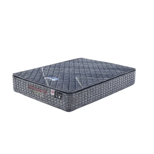 SIPS-BP-DUALPT-QUEEN-REN-TR