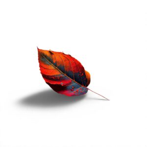 IMP48-FREEDOM-QLED-GOOGLE