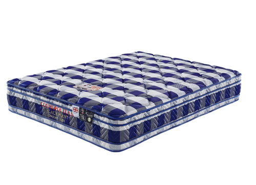 SIPS-BP-DBL-DUALET-CS-REN