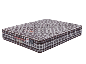 SIPS-BP-DBL-DUALET-CS-REN