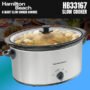 HAMILTON BEACH  DIGITAL RICE COOKER & FOOD STEAMER