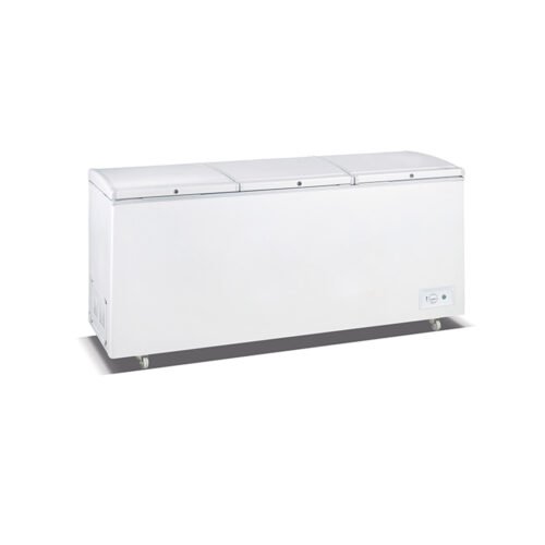 IMPERIAL SUPER GIGANTIC FREEZER IMMORTAL 220VT COMPRESSORS COMMERCIAL