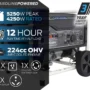 PULSAR HURRICANE STORM 5250 HIGH WATTS BIG HOUSE POWERED GENERATOR